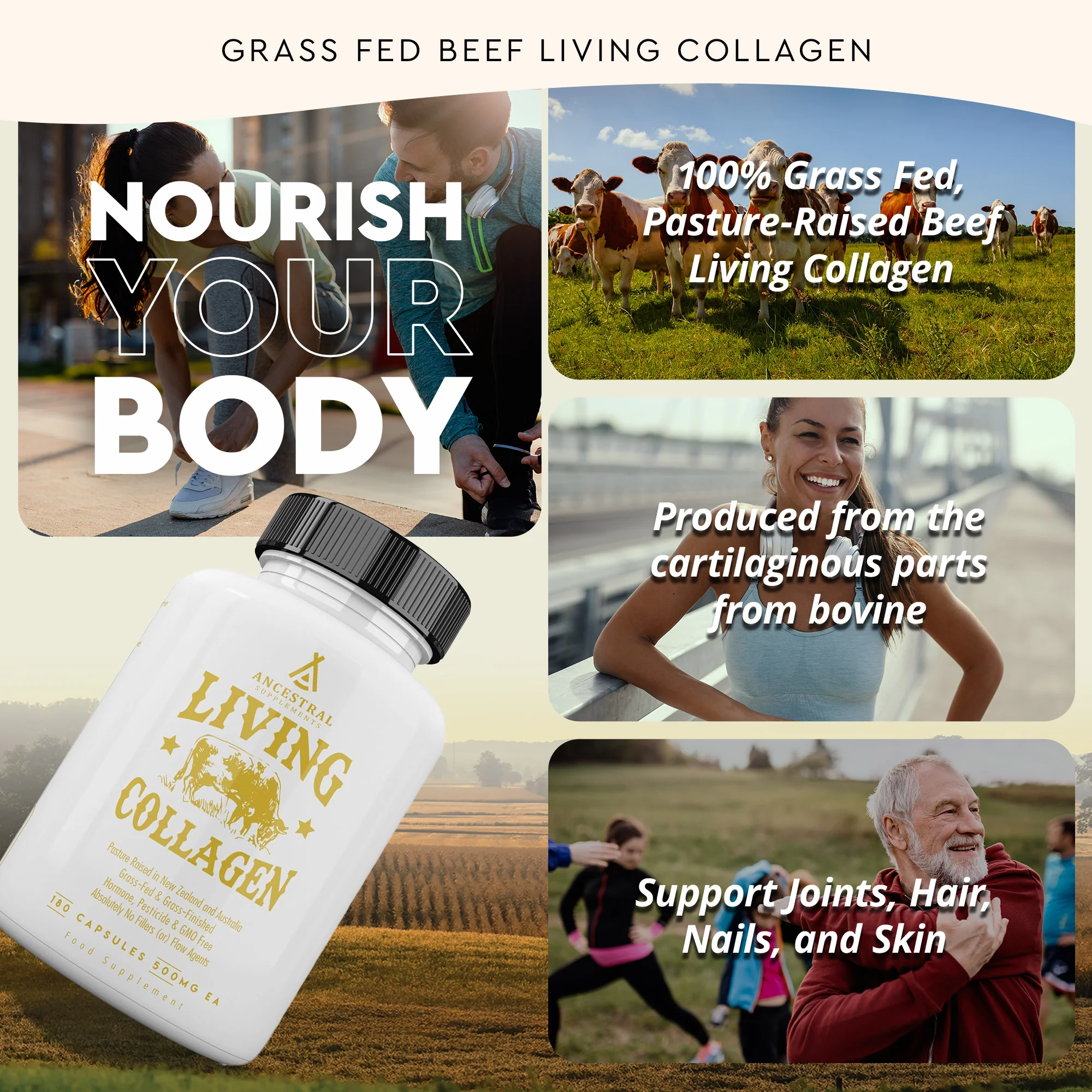 Grass Fed Beef Living Collagen - Image 3